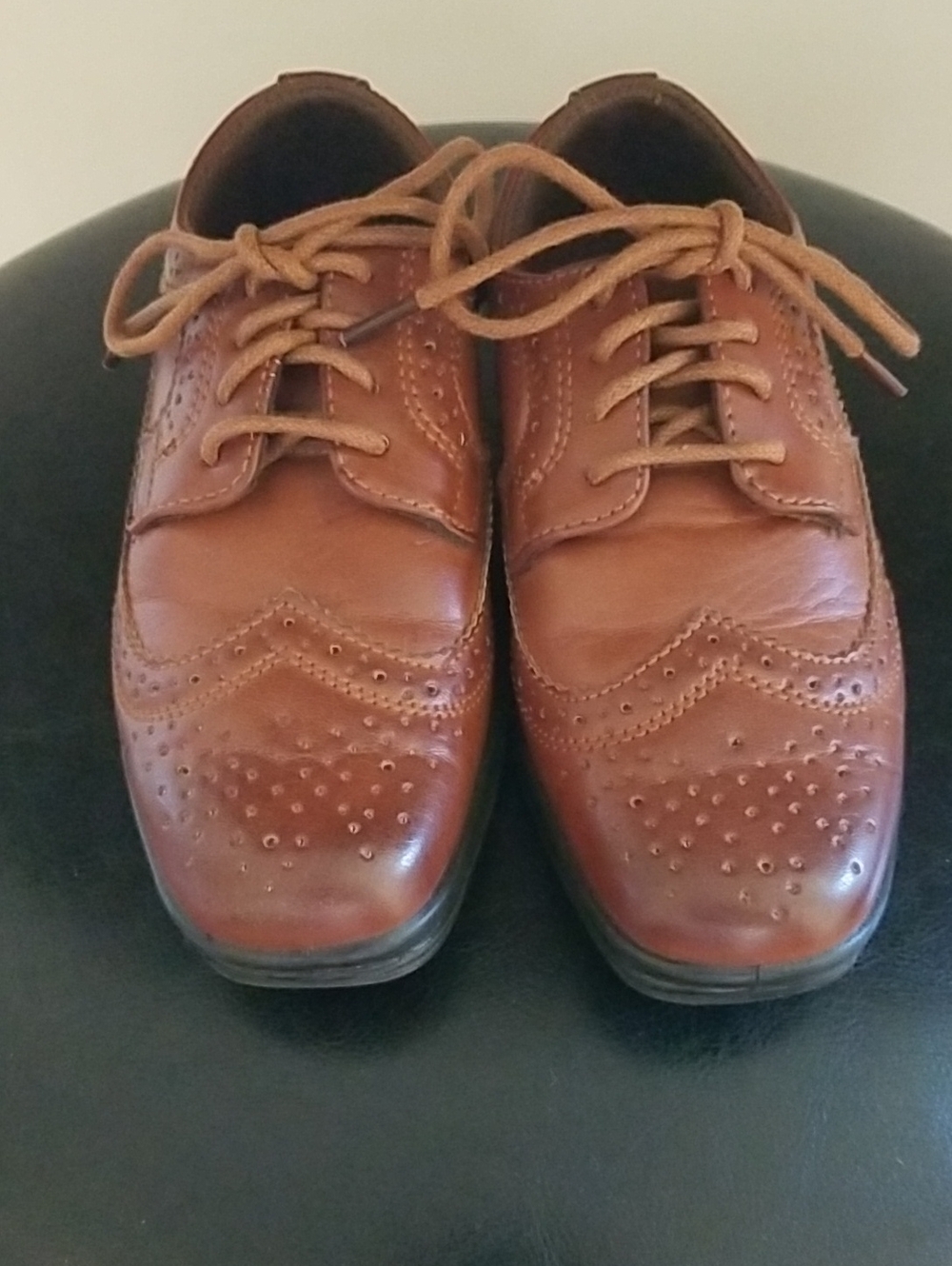 Deer Stags Kid's Lace-Up Wingtip Oxfords in Cognac Brown